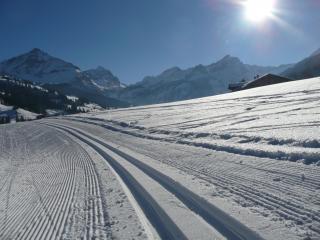 Langlauf-Loipen in Gstaad