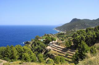 Westküste Mallorca